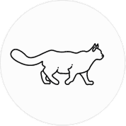 Gato